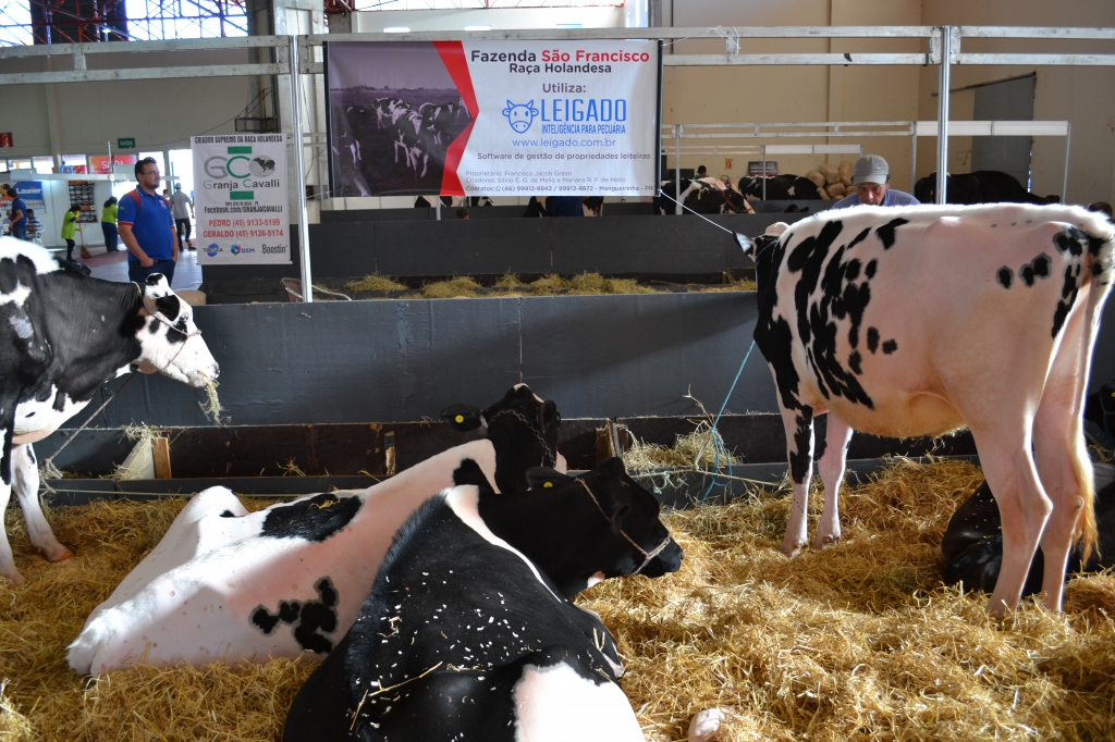 Leigado presente na Via Tecnológica do Leite em Francisco Beltrão
